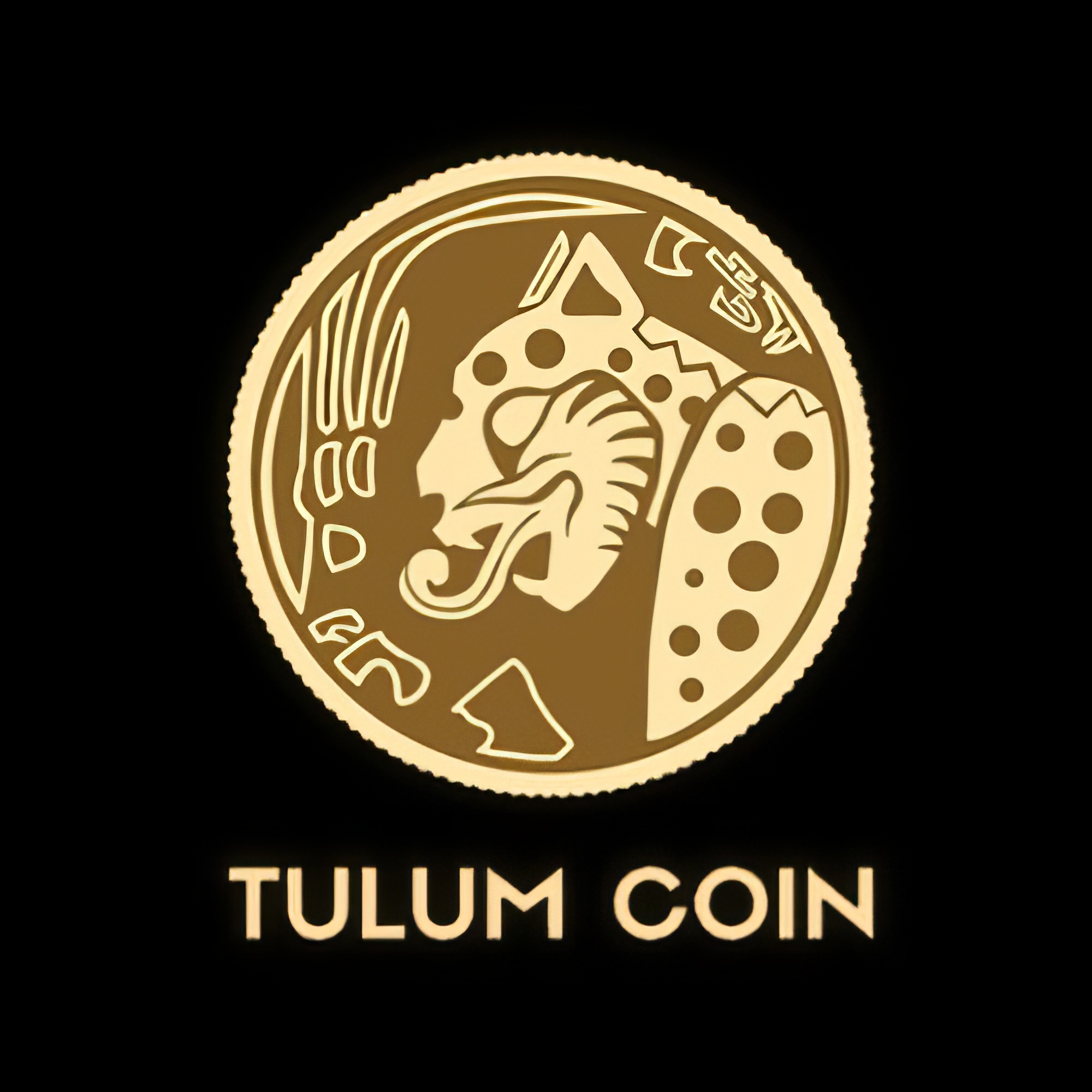 tulum-coin-topaz-enhance-4x